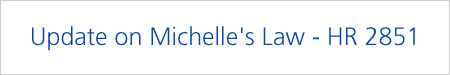 Overview of Michelles Law